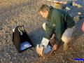 20030208levy043_web.jpg